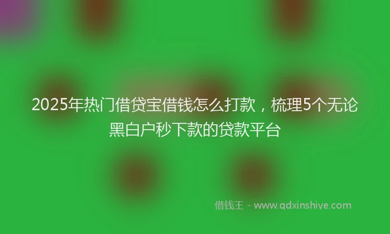 2025年热门借贷宝借钱怎么打款，梳理5个无论黑白户秒下款的贷款平台