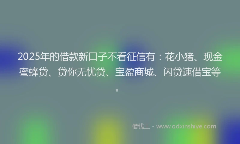 2025年的借款新口子不看征信有：花小猪、现金蜜蜂贷、贷你无忧贷、宝盈商城、闪贷速借宝等。