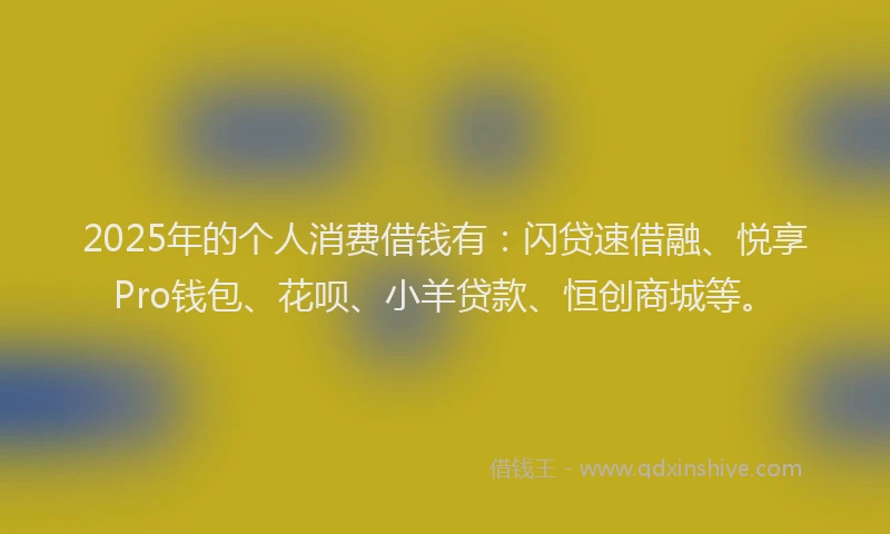2025年的个人消费借钱有：闪贷速借融、悦享Pro钱包、花呗、小羊贷款、恒创商城等。