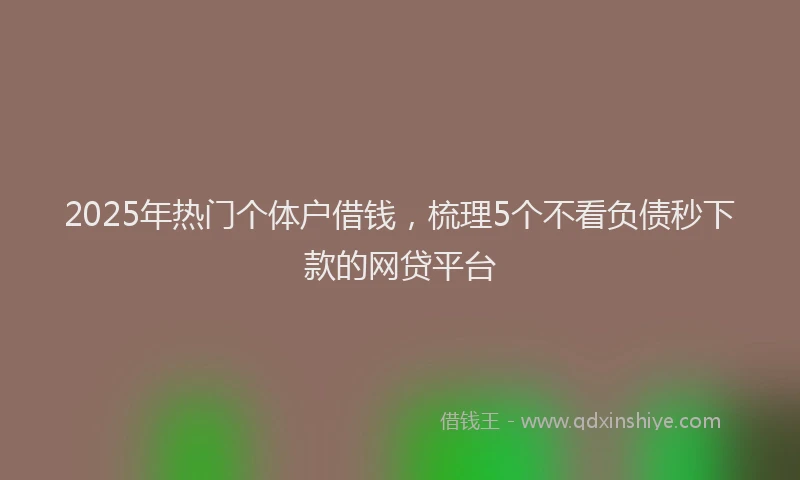 2025年热门个体户借钱，梳理5个不看负债秒下款的网贷平台