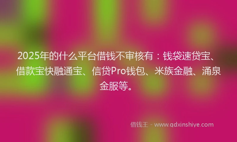 2025年的什么平台借钱不审核有：钱袋速贷宝、借款宝快融通宝、信贷Pro钱包、米族金融、涌泉金服等。