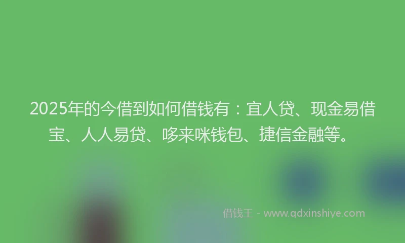 2025年的今借到如何借钱有：宜人贷、现金易借宝、人人易贷、哆来咪钱包、捷信金融等。