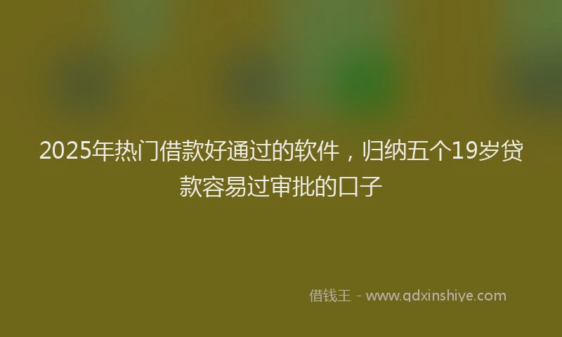 2025年热门借款好通过的软件，归纳五个19岁贷款容易过审批的口子