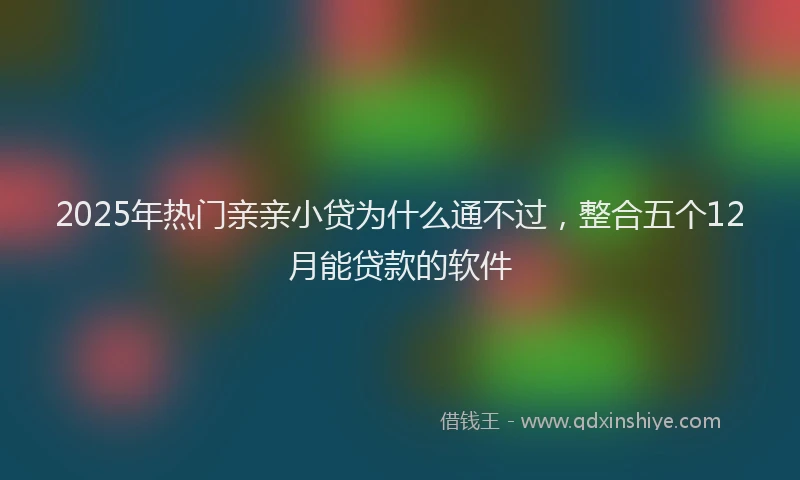 2025年热门亲亲小贷为什么通不过，整合五个12月能贷款的软件