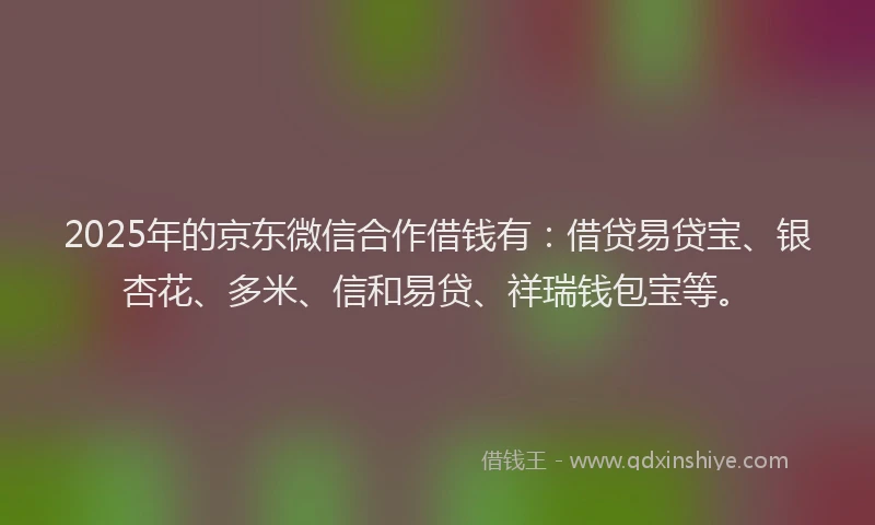 2025年的京东微信合作借钱有：借贷易贷宝、银杏花、多米、信和易贷、祥瑞钱包宝等。