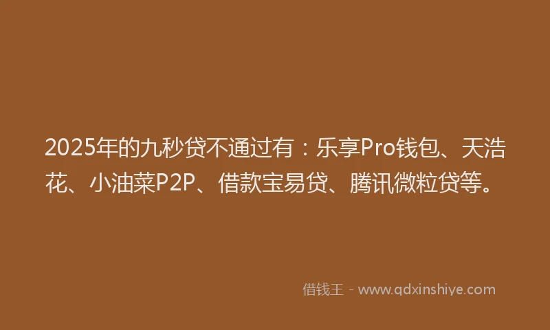 2025年的九秒贷不通过有：乐享Pro钱包、天浩花、小油菜P2P、借款宝易贷、腾讯微粒贷等。