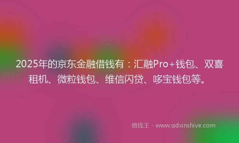 2025年的京东金融借钱有：汇融Pro+钱包、双喜租机、微粒钱包、维信闪贷、哆宝钱包等。
