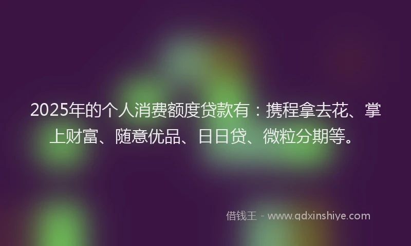 2025年的个人消费额度贷款有：携程拿去花、掌上财富、随意优品、日日贷、微粒分期等。