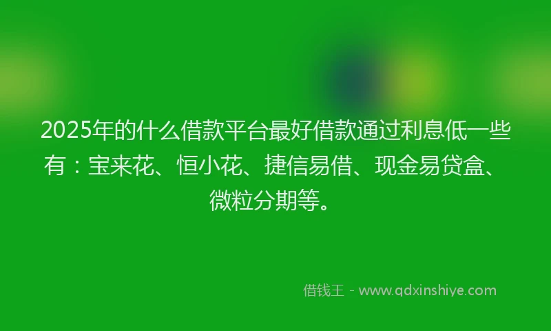 2025年的什么借款平台最好借款通过利息低一些有：宝来花、恒小花、捷信易借、现金易贷盒、微粒分期等。