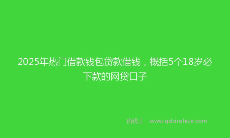 2025年热门借款钱包贷款借钱，概括5个18岁必下款的网贷口子