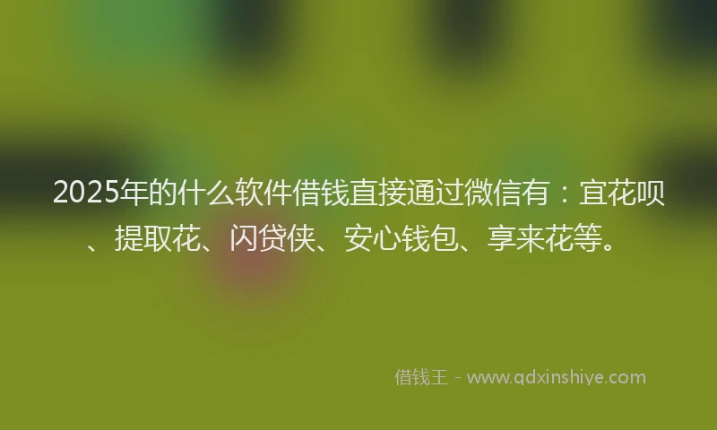 2025年的什么软件借钱直接通过微信有：宜花呗、提取花、闪贷侠、安心钱包、享来花等。
