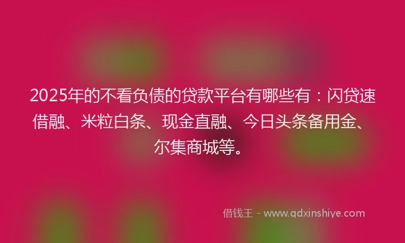 2025年的不看负债的贷款平台有哪些有：闪贷速借融、米粒白条、现金直融、今日头条备用金、尔集商城等。