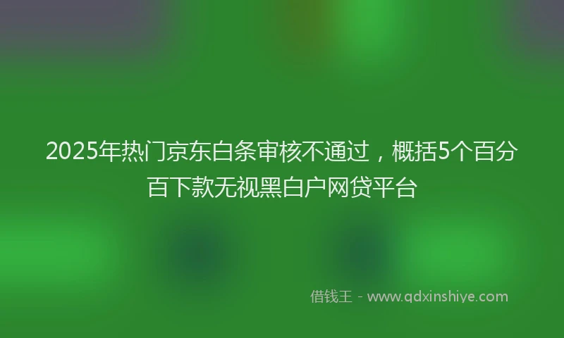 2025年热门京东白条审核不通过，概括5个百分百下款无视黑白户网贷平台