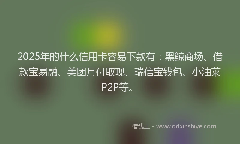 2025年的什么信用卡容易下款有：黑鲸商场、借款宝易融、美团月付取现、瑞信宝钱包、小油菜P2P等。