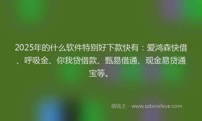 2025年的什么软件特别好下款快有：爱鸿森快借、呼吸金、你我贷借款、甄易借通、现金易贷通宝等。