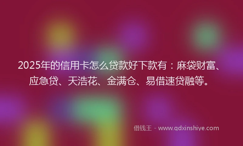2025年的信用卡怎么贷款好下款有：麻袋财富、应急贷、天浩花、金满仓、易借速贷融等。
