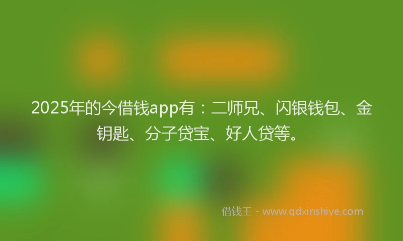 2025年的今借钱app有：二师兄、闪银钱包、金钥匙、分子贷宝、好人贷等。