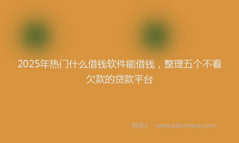 2025年热门什么借钱软件能借钱，整理五个不看欠款的贷款平台