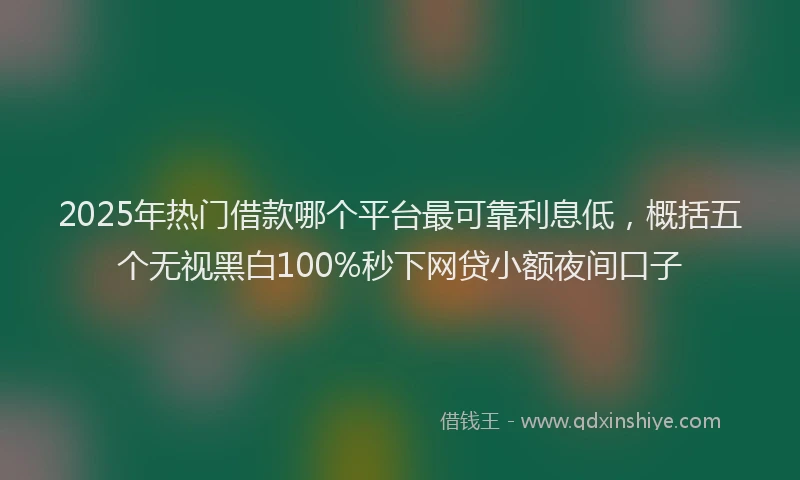2025年热门借款哪个平台最可靠利息低，概括五个无视黑白100%秒下网贷小额夜间口子