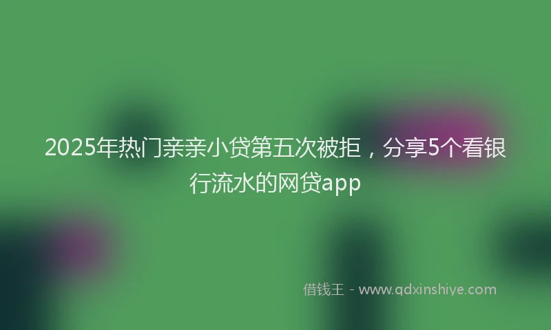 2025年热门亲亲小贷第五次被拒，分享5个看银行流水的网贷app