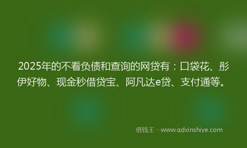 2025年的不看负债和查询的网贷有：口袋花、彤伊好物、现金秒借贷宝、阿凡达e贷、支付通等。