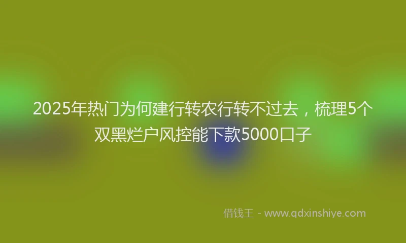 2025年热门为何建行转农行转不过去，梳理5个双黑烂户风控能下款5000口子