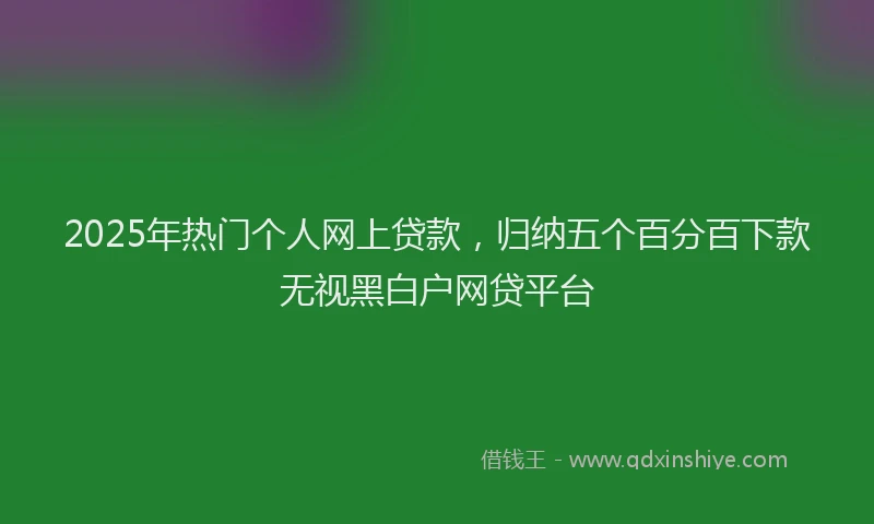 2025年热门个人网上贷款，归纳五个百分百下款无视黑白户网贷平台