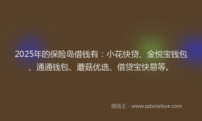 2025年的保险岛借钱有：小花快贷、金悦宝钱包、通通钱包、蘑菇优选、借贷宝快易等。