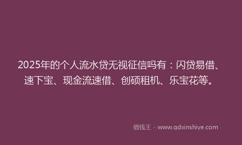 2025年的个人流水贷无视征信吗有：闪贷易借、速下宝、现金流速借、创硕租机、乐宝花等。