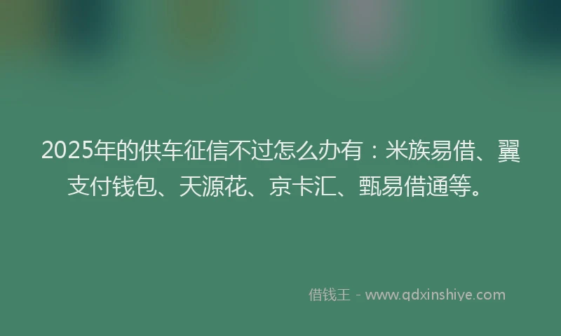 2025年的供车征信不过怎么办有：米族易借、翼支付钱包、天源花、京卡汇、甄易借通等。