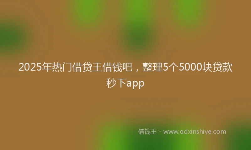 2025年热门借贷王借钱吧，整理5个5000块贷款秒下app