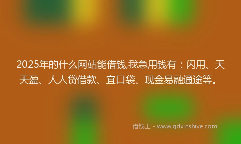 2025年的什么网站能借钱,我急用钱有：闪用、天天盈、人人贷借款、宜口袋、现金易融通途等。