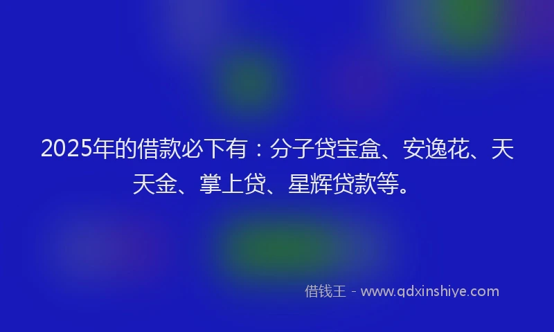 2025年的借款必下有：分子贷宝盒、安逸花、天天金、掌上贷、星辉贷款等。