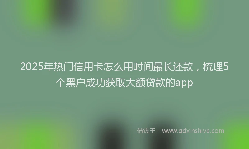 2025年热门信用卡怎么用时间最长还款，梳理5个黑户成功获取大额贷款的app