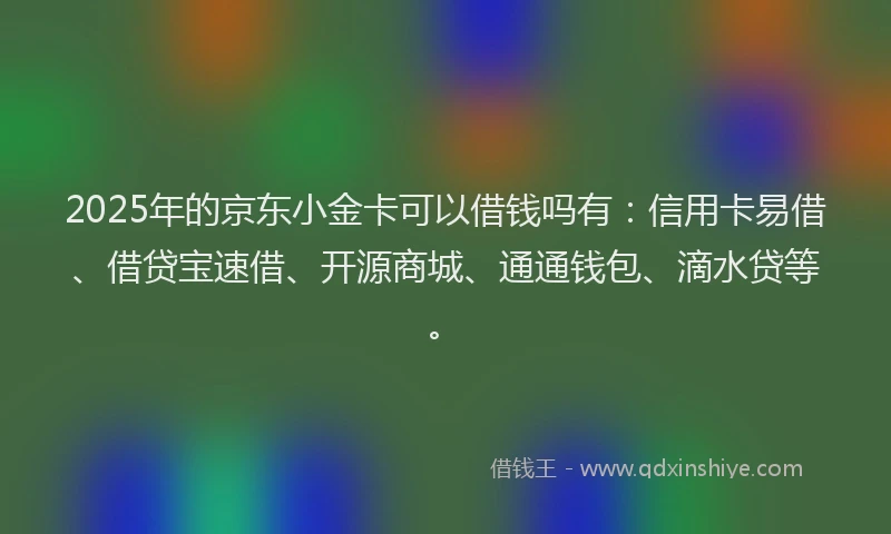 2025年的京东小金卡可以借钱吗有：信用卡易借、借贷宝速借、开源商城、通通钱包、滴水贷等。