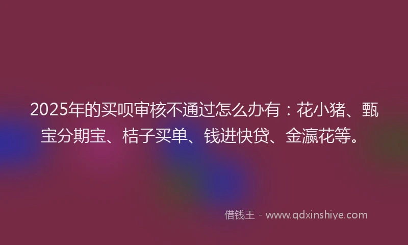 2025年的买呗审核不通过怎么办有：花小猪、甄宝分期宝、桔子买单、钱进快贷、金瀛花等。