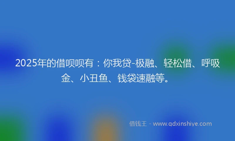 2025年的借呗呗有：你我贷-极融、轻松借、呼吸金、小丑鱼、钱袋速融等。