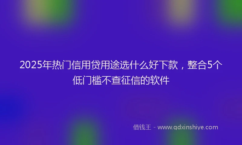 2025年热门信用贷用途选什么好下款，整合5个低门槛不查征信的软件