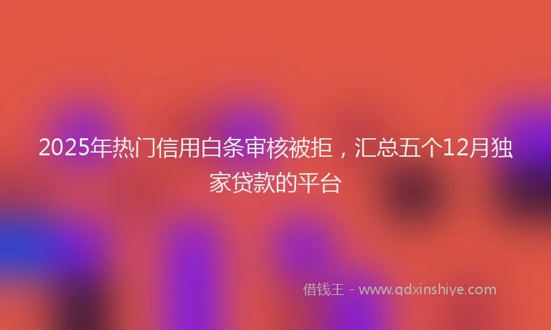 2025年热门信用白条审核被拒，汇总五个12月独家贷款的平台