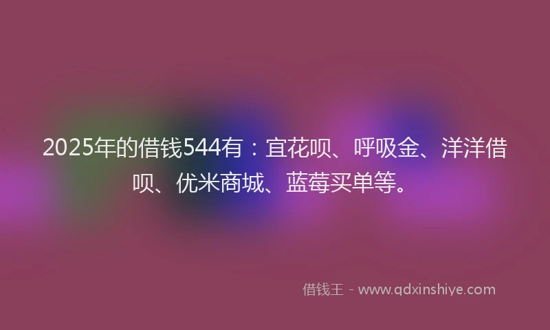 2025年的借钱544有：宜花呗、呼吸金、洋洋借呗、优米商城、蓝莓买单等。