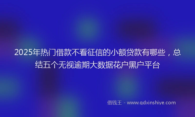 2025年热门借款不看征信的小额贷款有哪些，总结五个无视逾期大数据花户黑户平台