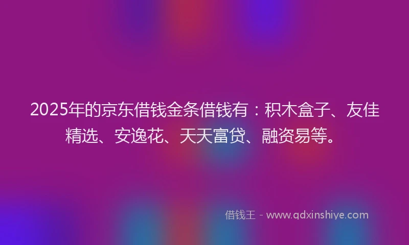 2025年的京东借钱金条借钱有：积木盒子、友佳精选、安逸花、天天富贷、融资易等。