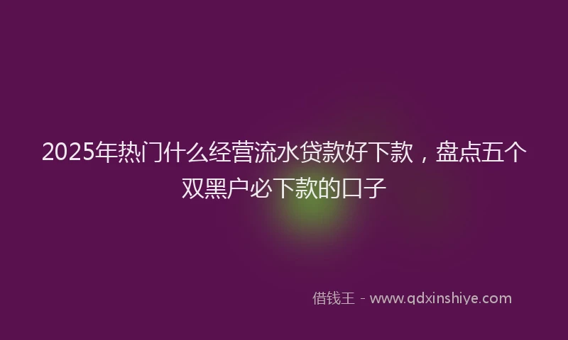 2025年热门什么经营流水贷款好下款,盘点五个双黑户必下款的口子
