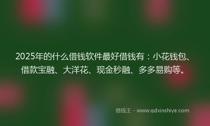 2025年的什么借钱软件最好借钱有：小花钱包、借款宝融、大洋花、现金秒融、多多易购等。