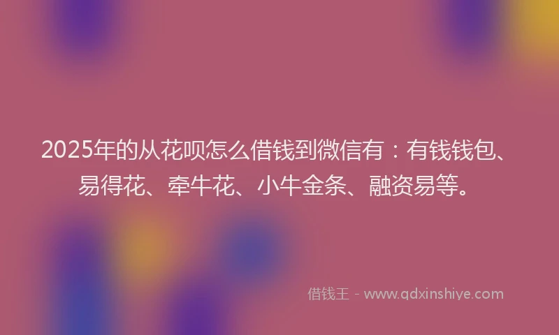 2025年的从花呗怎么借钱到微信有：有钱钱包、易得花、牵牛花、小牛金条、融资易等。