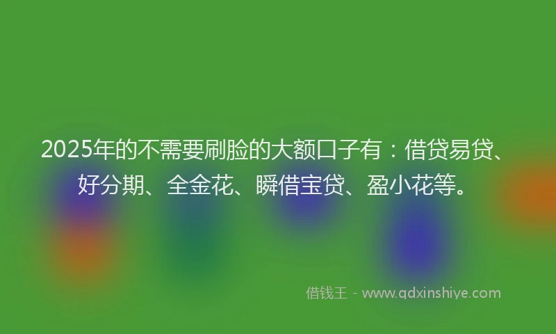2025年的不需要刷脸的大额口子有：借贷易贷、好分期、全金花、瞬借宝贷、盈小花等。