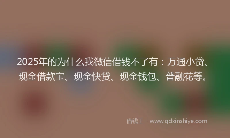 2025年的为什么我微信借钱不了有：万通小贷、现金借款宝、现金快贷、现金钱包、普融花等。
