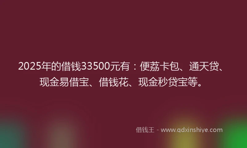 2025年的借钱33500元有：便荔卡包、通天贷、现金易借宝、借钱花、现金秒贷宝等。