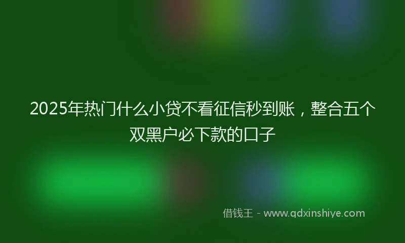 2025年热门什么小贷不看征信秒到账，整合五个双黑户必下款的口子