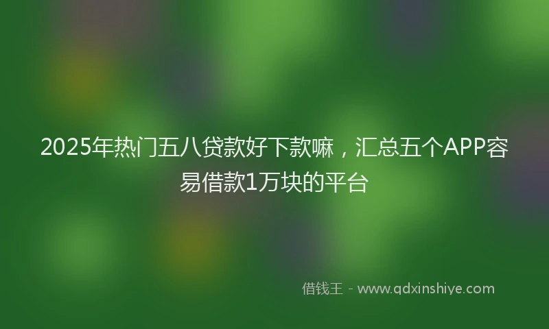2025年热门五八贷款好下款嘛，汇总五个APP容易借款1万块的平台
